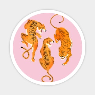 Three fierce tigers Magnet